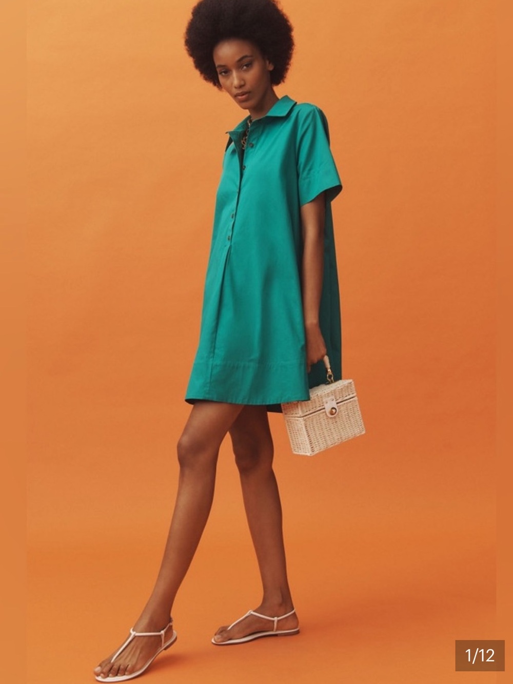 Anthropologie | The Pollie Short-Sleeve Swing Tunic Mini Dress